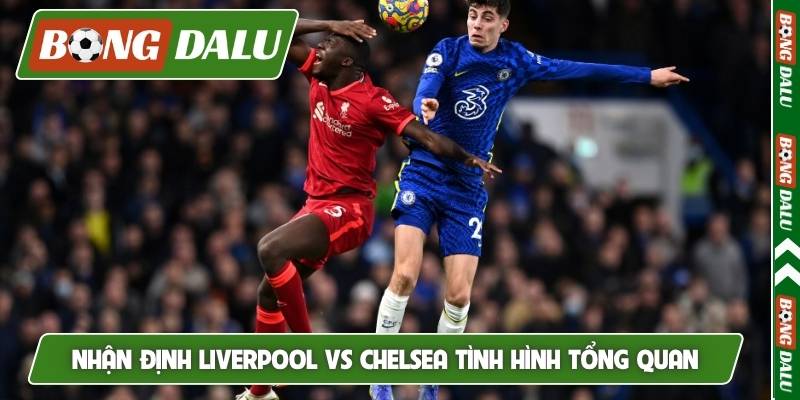 Nhận định Liverpool vs Chelsea tình hình tổng quan