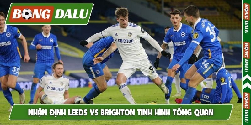 Nhận định Leeds vs Brighton tình hình tổng quan