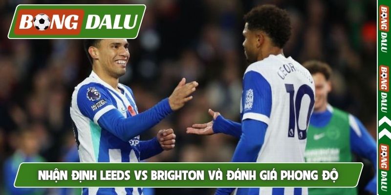 Nhận định Leeds vs Brighton và đánh giá phong độ