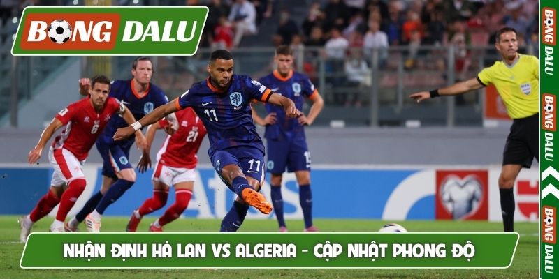 Nhận định Hà Lan vs Algeria - Cập nhật phong độ